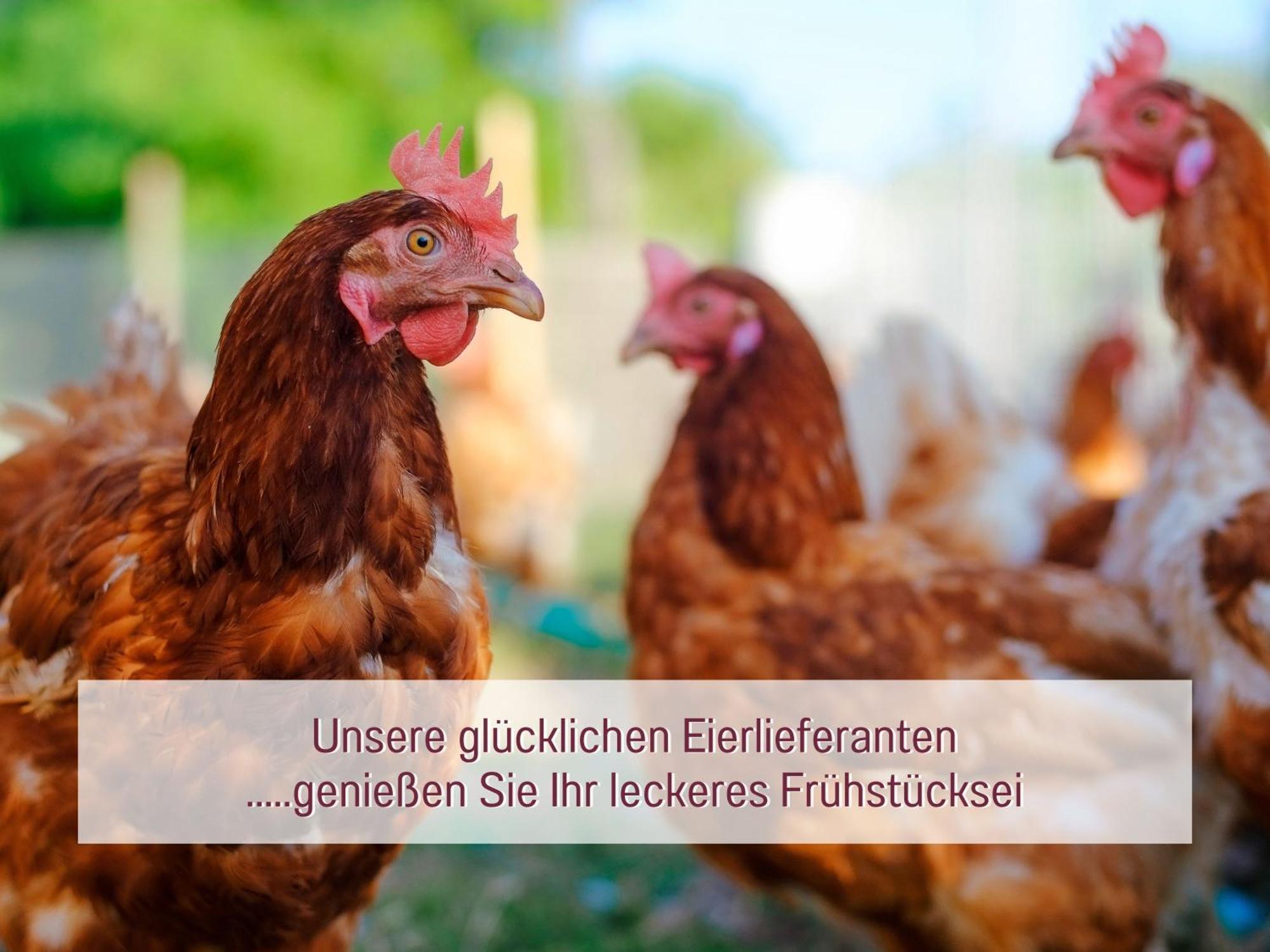 Designerwohnungen "Beim Schmied" In Chiemseenaehe Traunreut Bagian luar foto