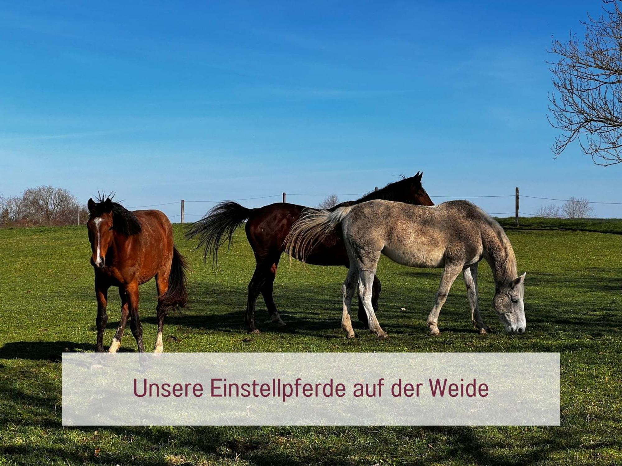 Designerwohnungen "Beim Schmied" In Chiemseenaehe Traunreut Bagian luar foto