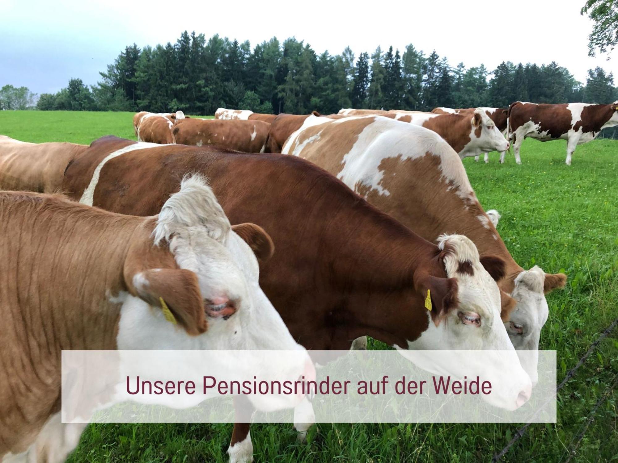 Designerwohnungen "Beim Schmied" In Chiemseenaehe Traunreut Bagian luar foto